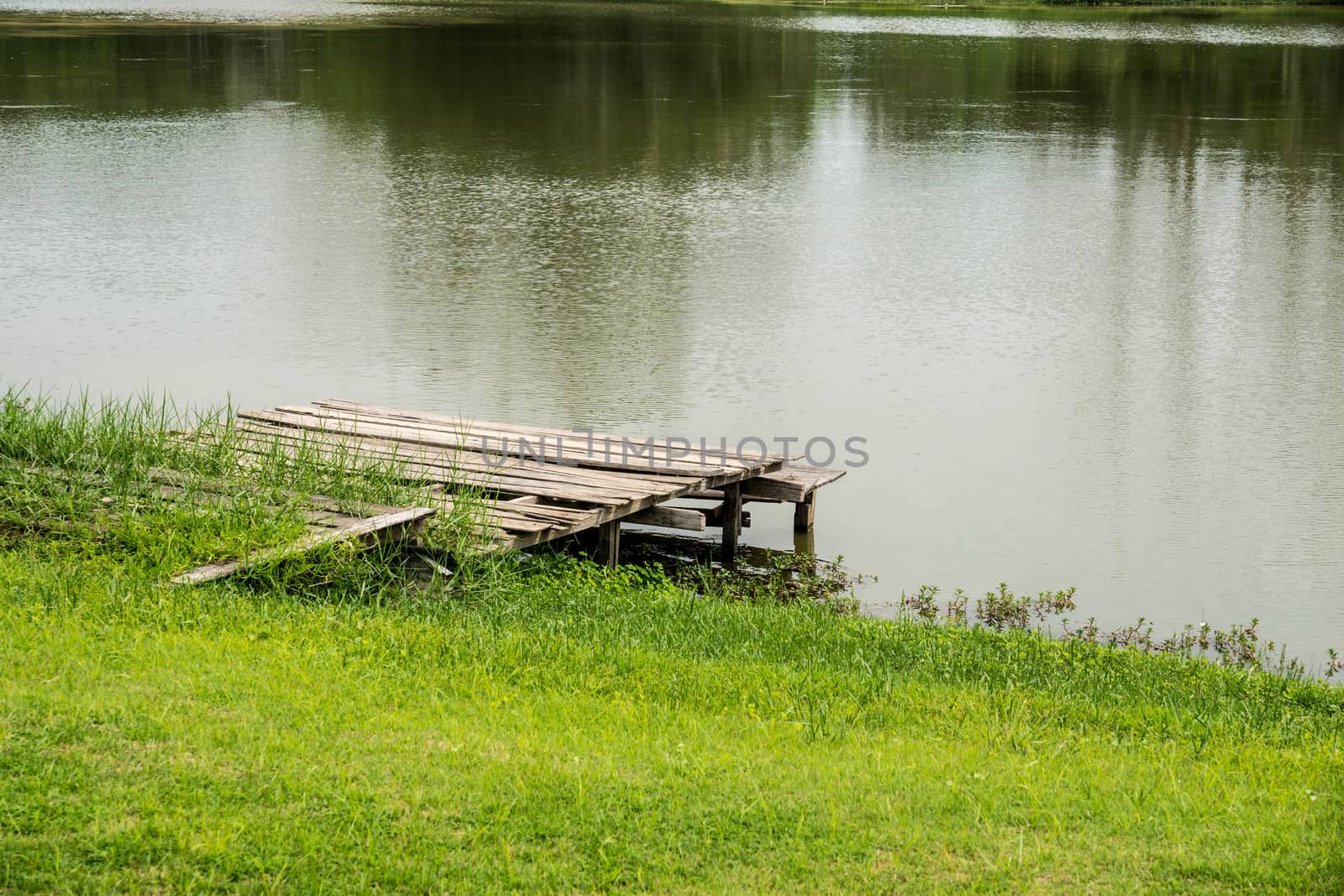 waterside in lake view garden at sunny day,Chiangrai,Thailand