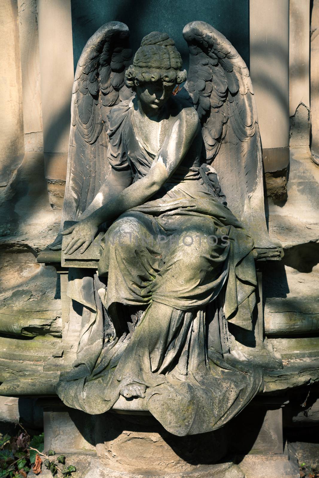 Angel statue on Cemetery in Europe by motorolka