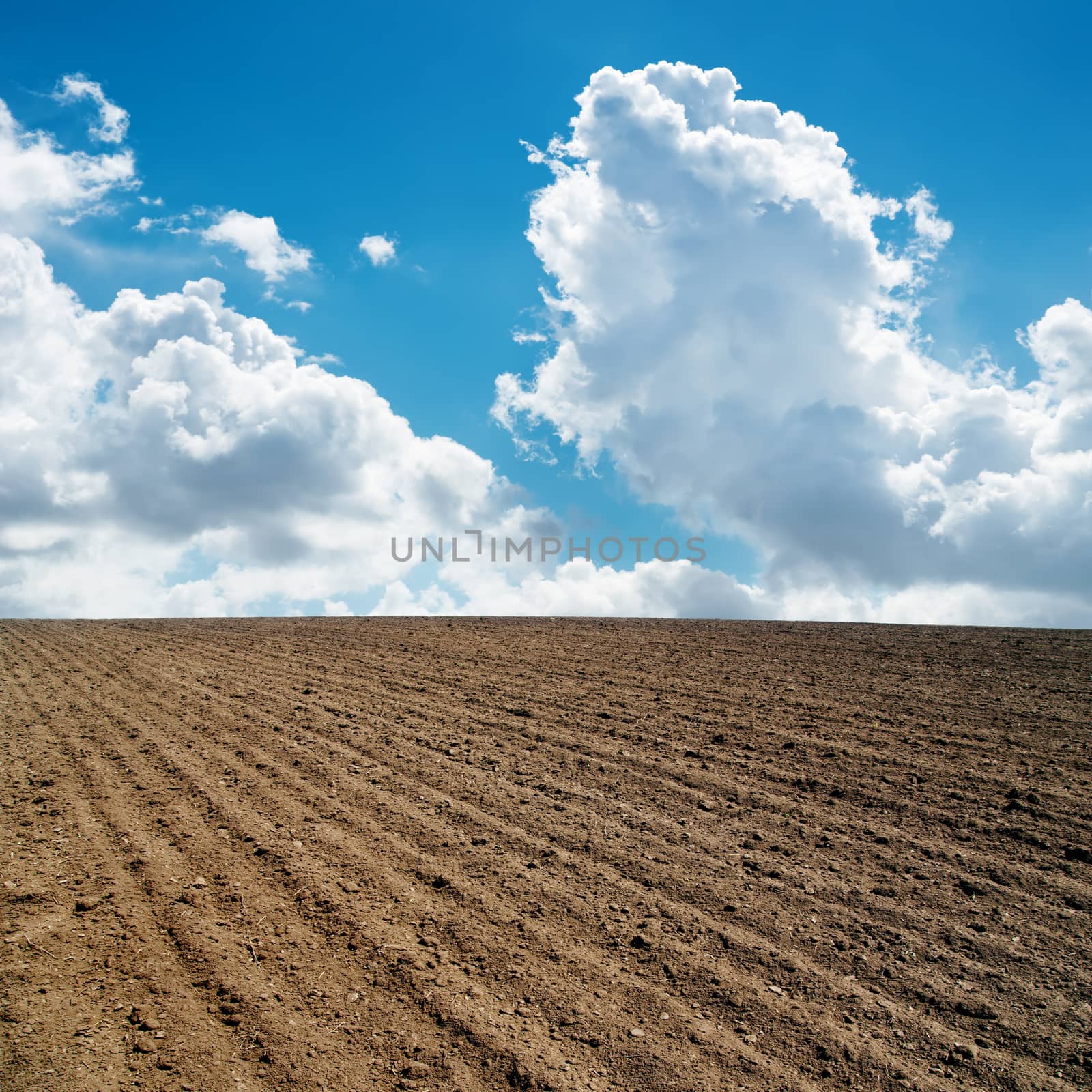clouds in blue sky and plowed field by mycola