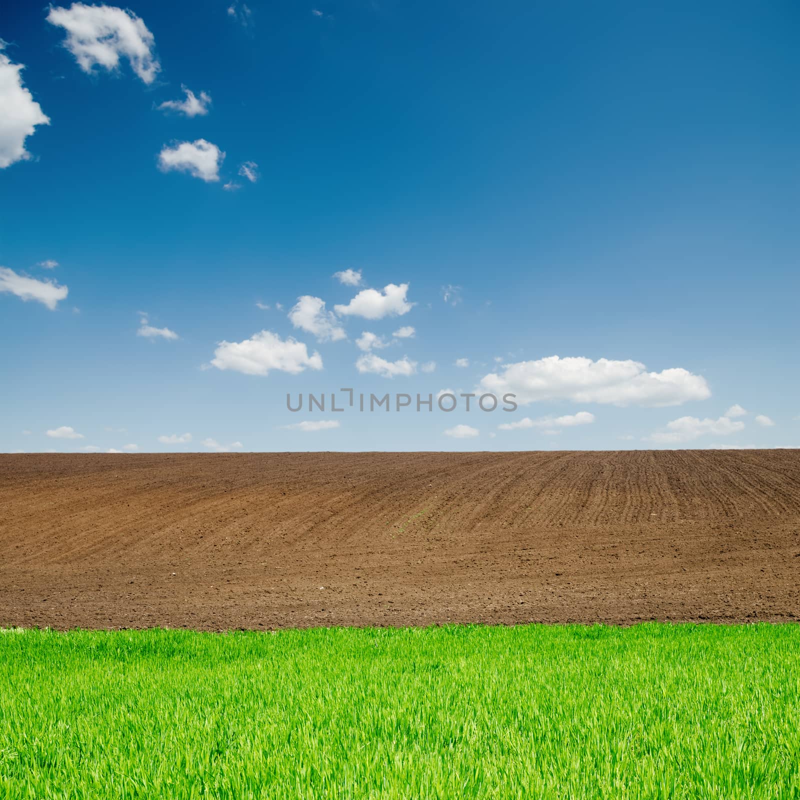green grass and black plowed fields under blue sky by mycola