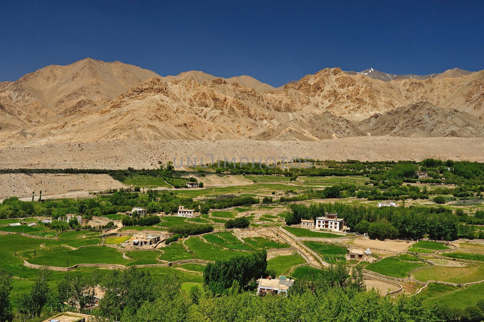 Beautiful scenic view of Leh valley, Ladakh range, Jammu & Kashmir, Northern India