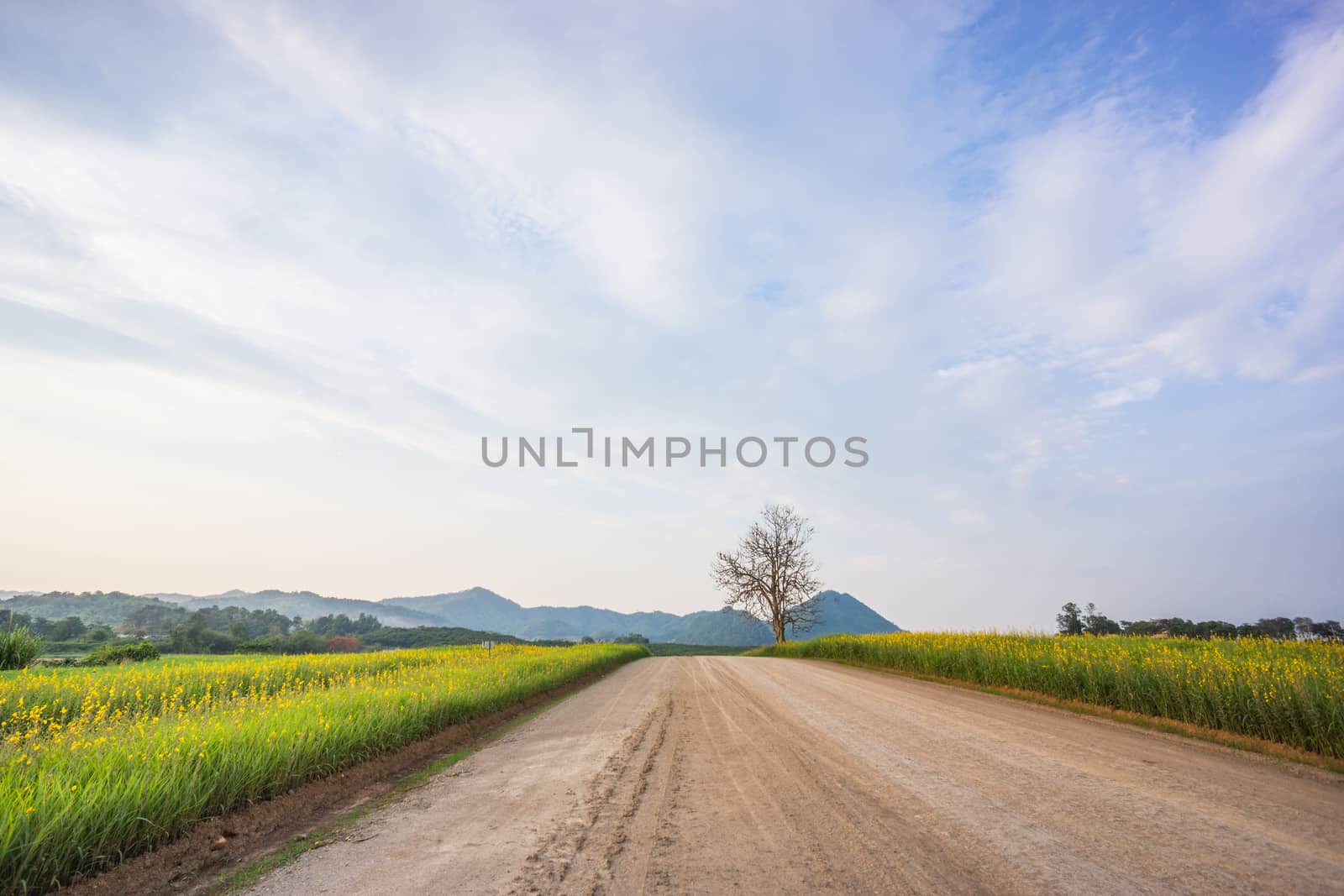 grass field on the mountain and clear sky