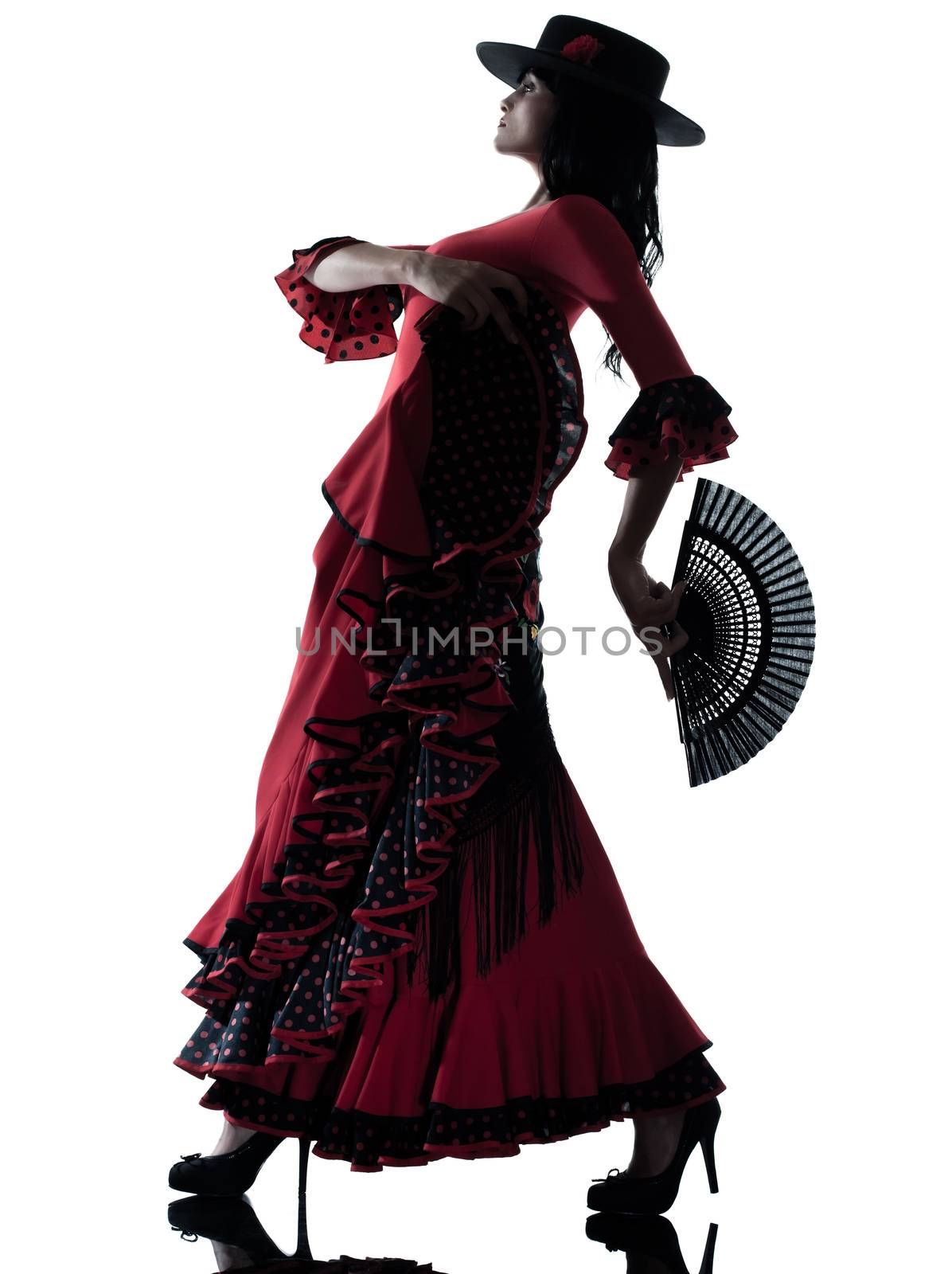woman gipsy flamenco dancing dancer  silhouette by PIXSTILL