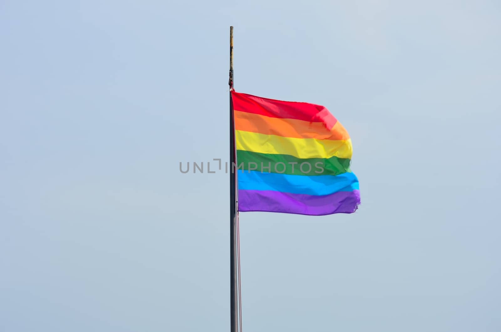 Rainbow Flag flying in wind