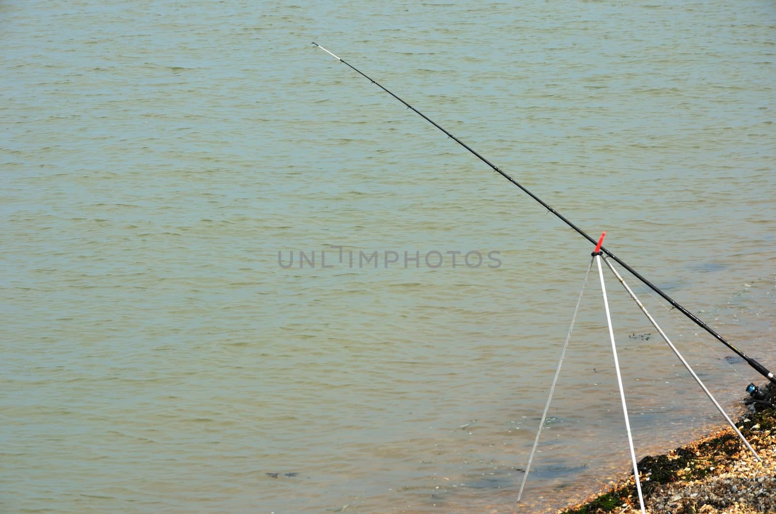 Sea fishing on coast by pauws99