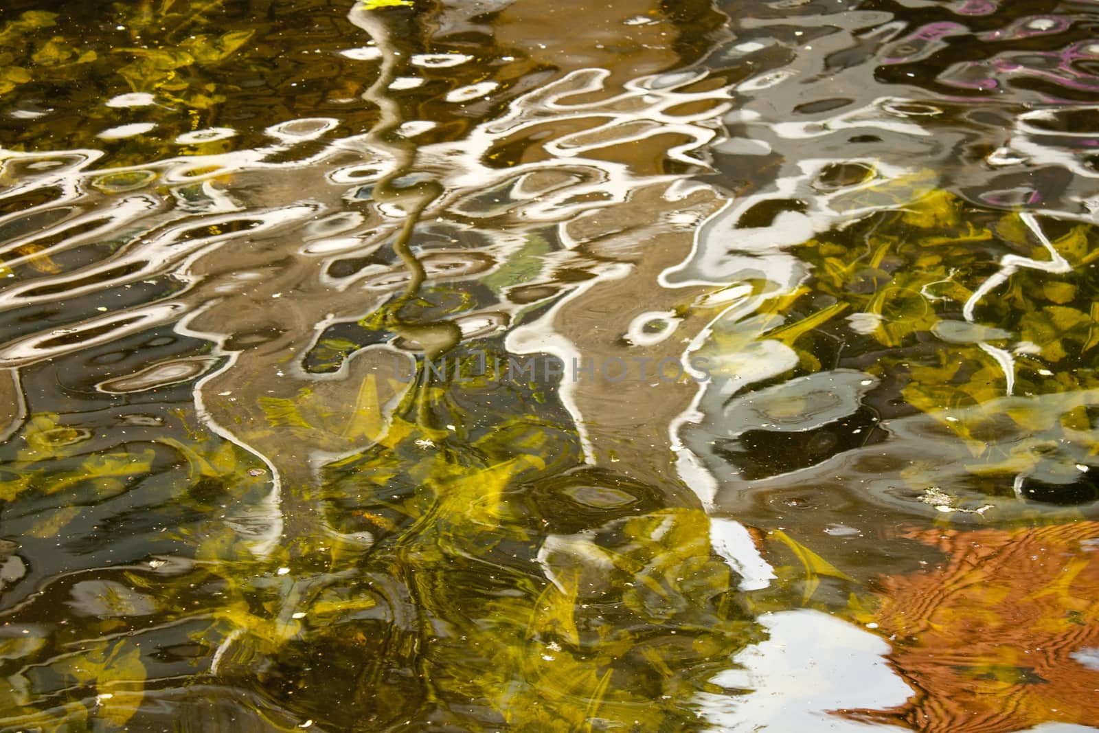 water reflections abstract composition that looks like a painting