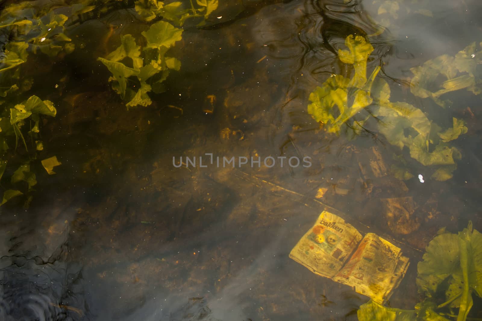 newspaper sunk under water in canal innetherlands
