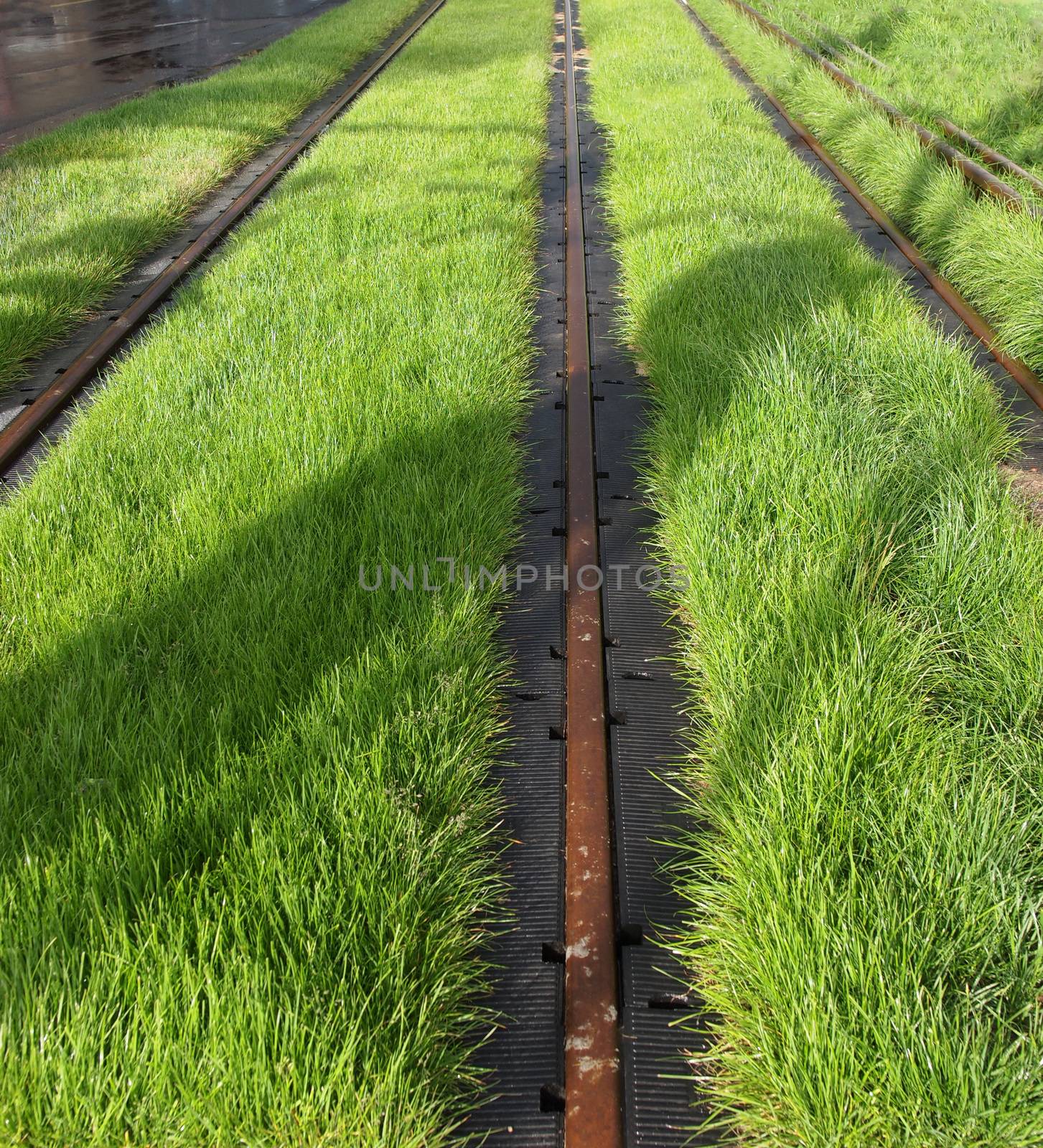 Railway or railroad tracks for train transportation