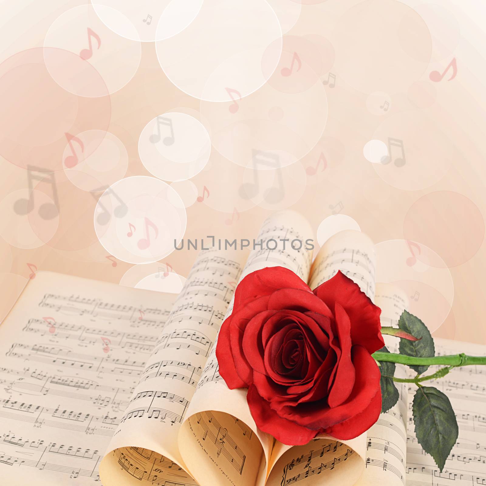 The rose on notebooks with musical notes