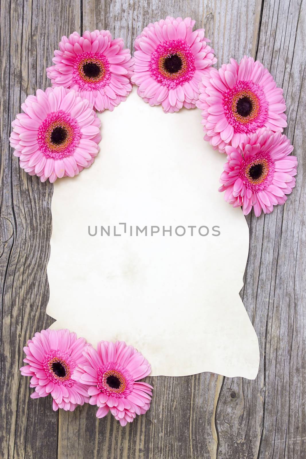 pink gerberas and empty sheet on a wooden board, vintage style by miradrozdowski
