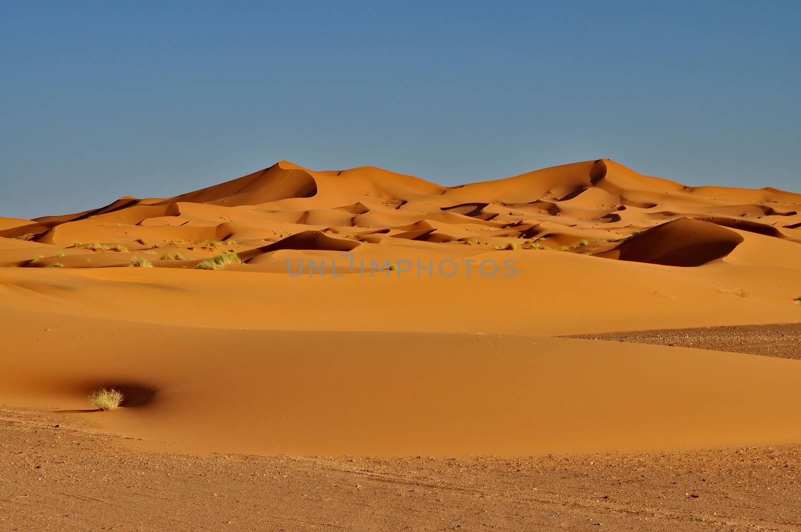 Merzouga desert in Morocco