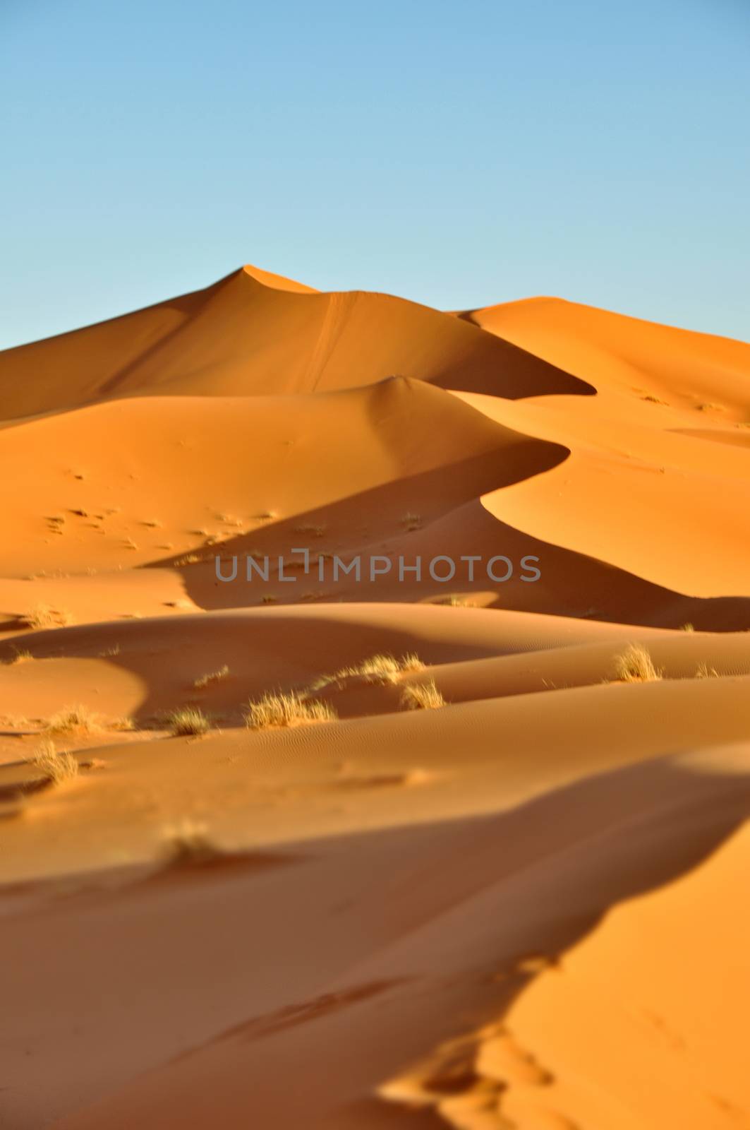 Merzouga desert in Morocco by anderm