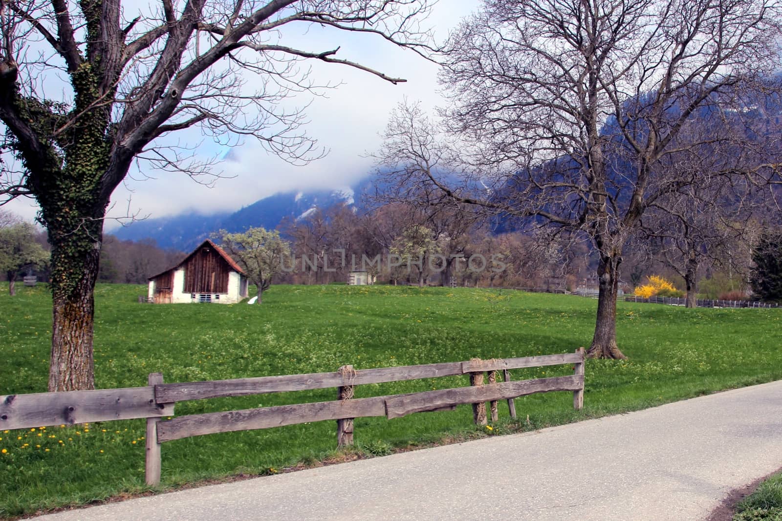 Quiet farm area high in the Swiss mountains.