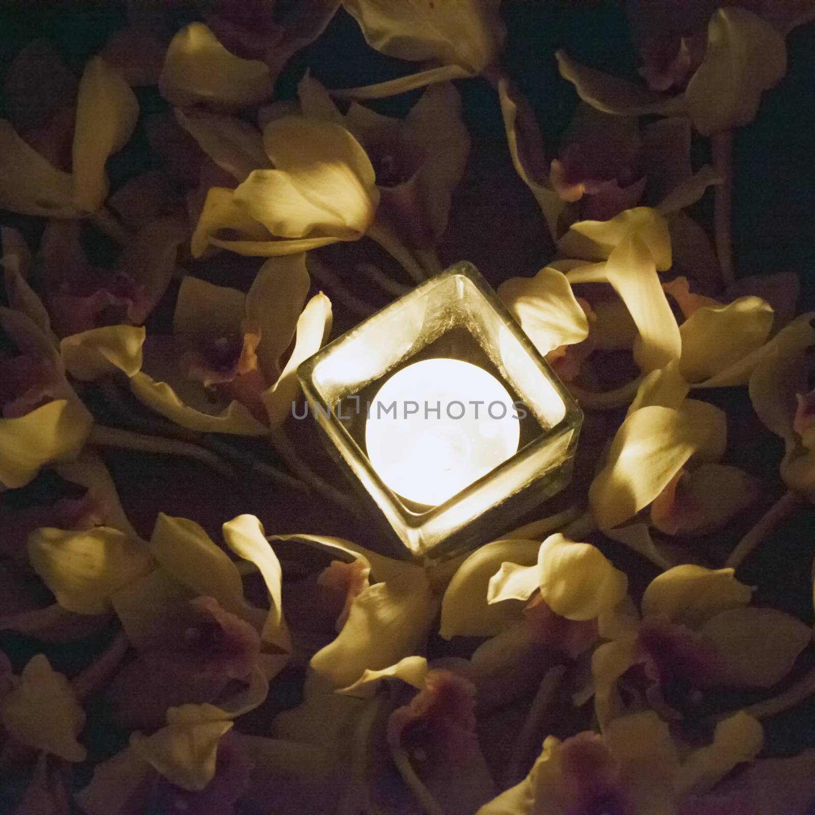 Candle in between many white orchid flowers