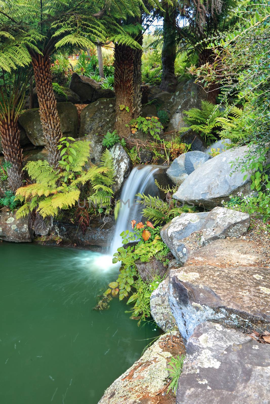 Waterfall at Mt Tomah by lovleah
