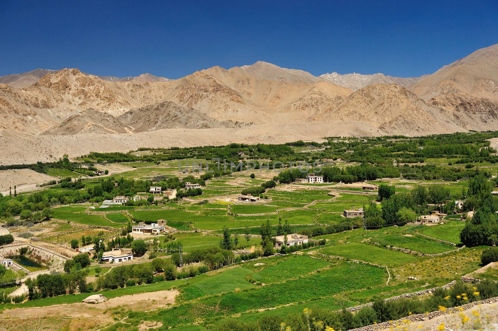 Beautiful scenic view of Leh valley, Ladakh range, Jammu & Kashm by think4photop