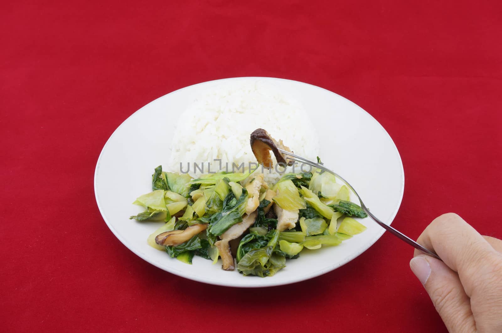 Eating stir-fried brassica vegetarian with rice on a red background by eaglesky