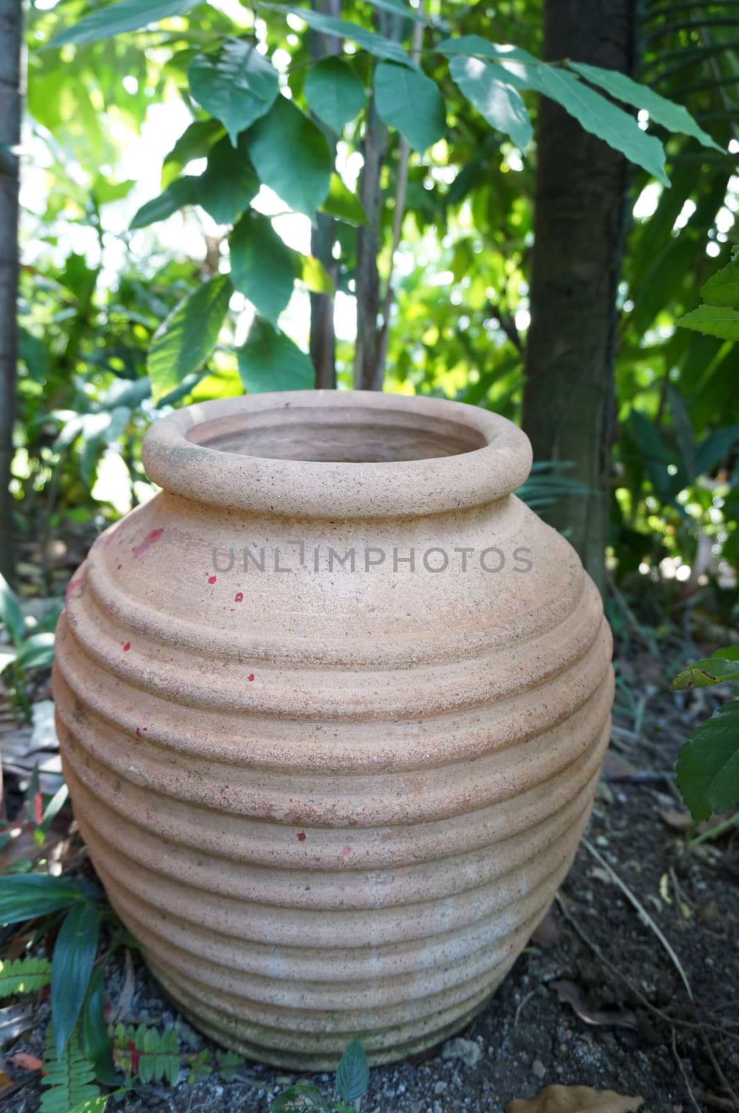 Jar of clay in the garden by eaglesky