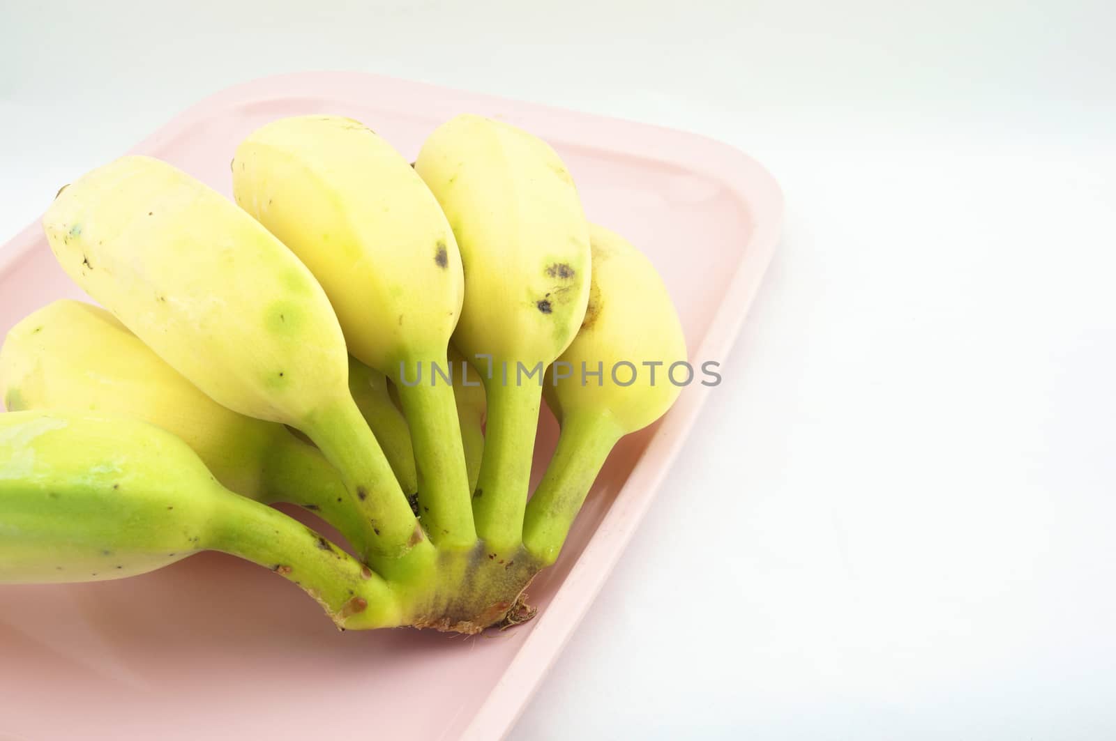 Yellow cultivated banana put on a pink tray with white background.