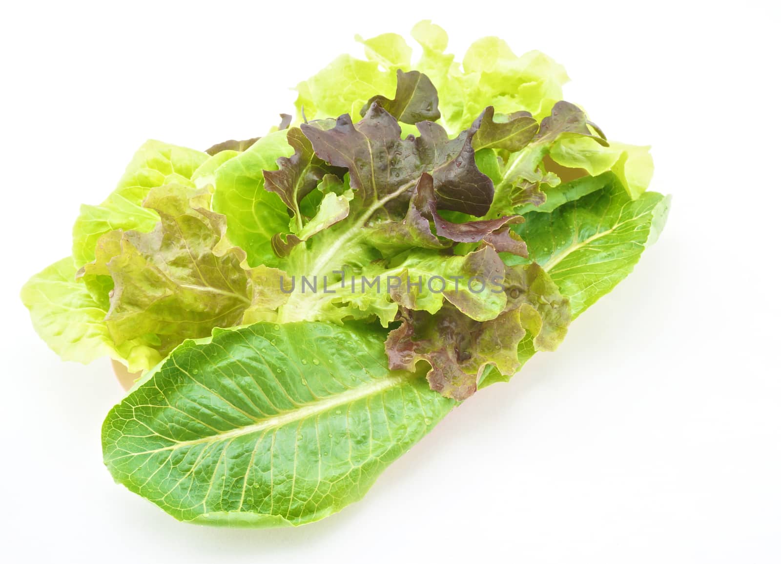 Salad vegetarian on pink tray with white background by eaglesky