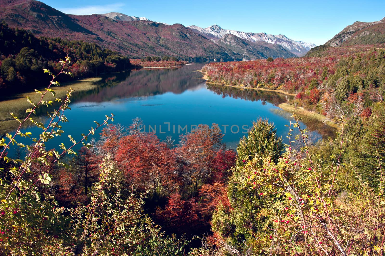 Autumn in Bariloche, Patagonia, Argentina by xura