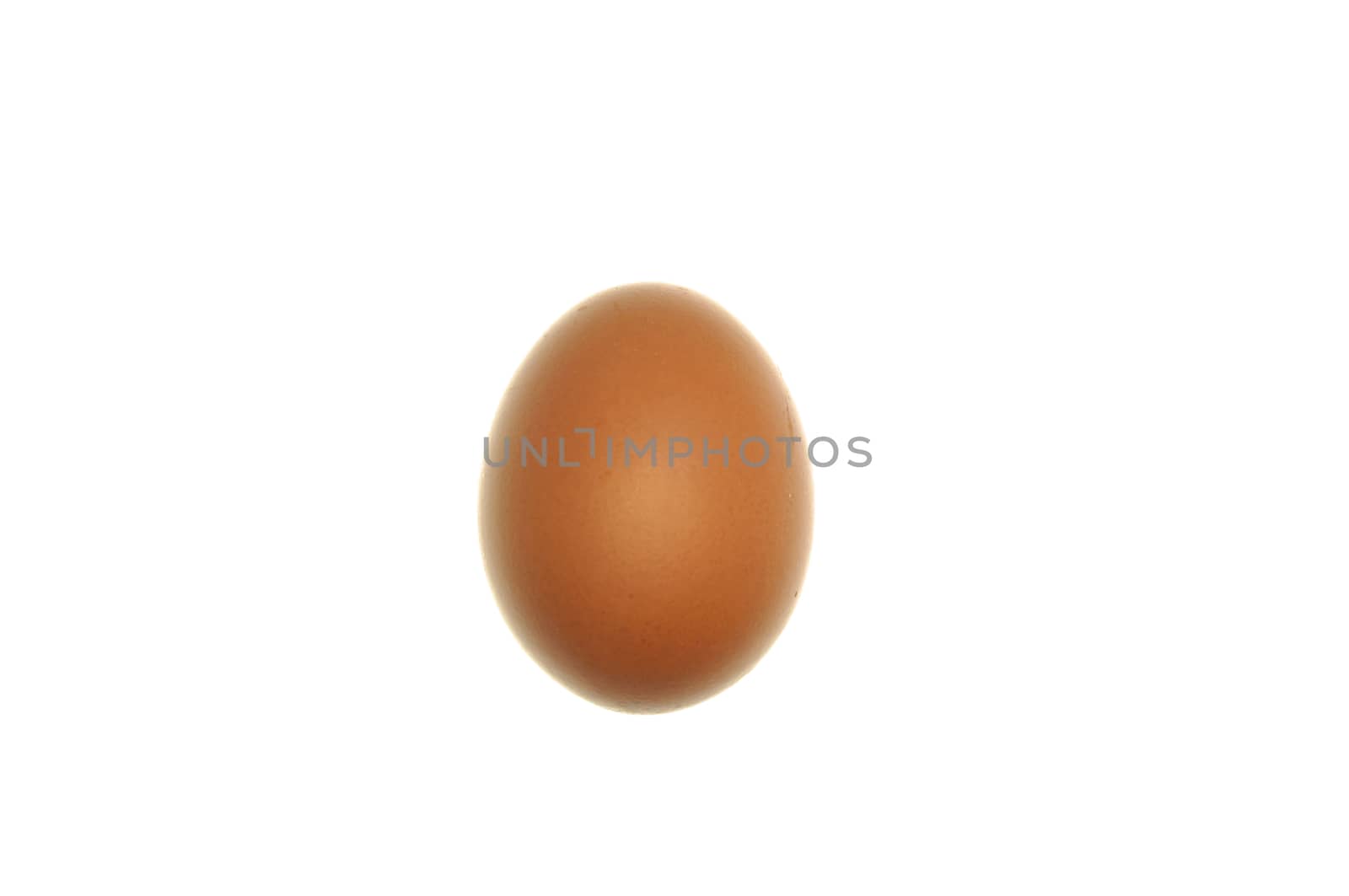 Egg isolated with white background by eaglesky