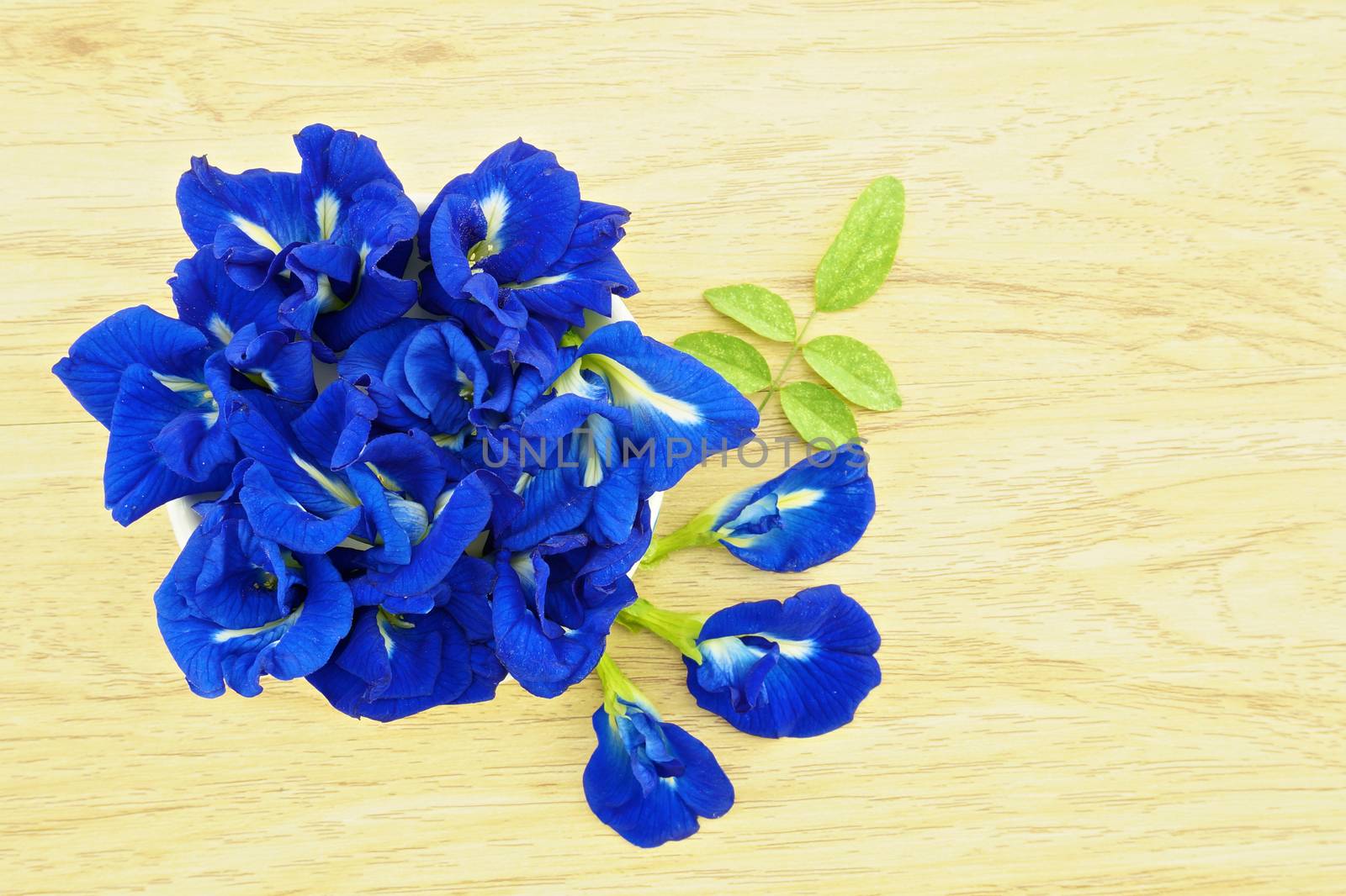 Asian Pigeonwings or Clitoria ternatea is a violet flowers with green leafs on wood background.