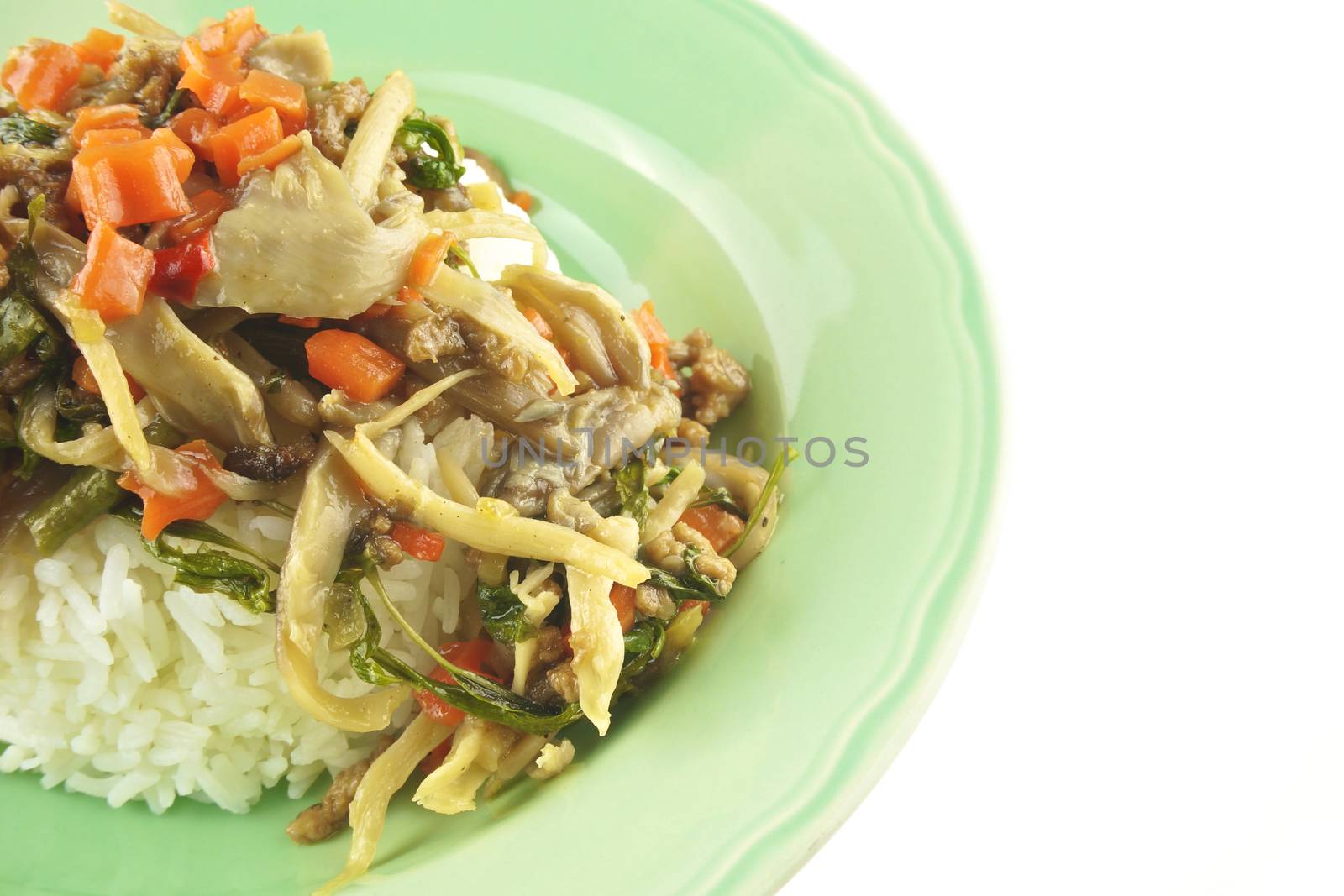 Oyster mushroom fried with carrot, vegan protein and basil on rice isolated white background.