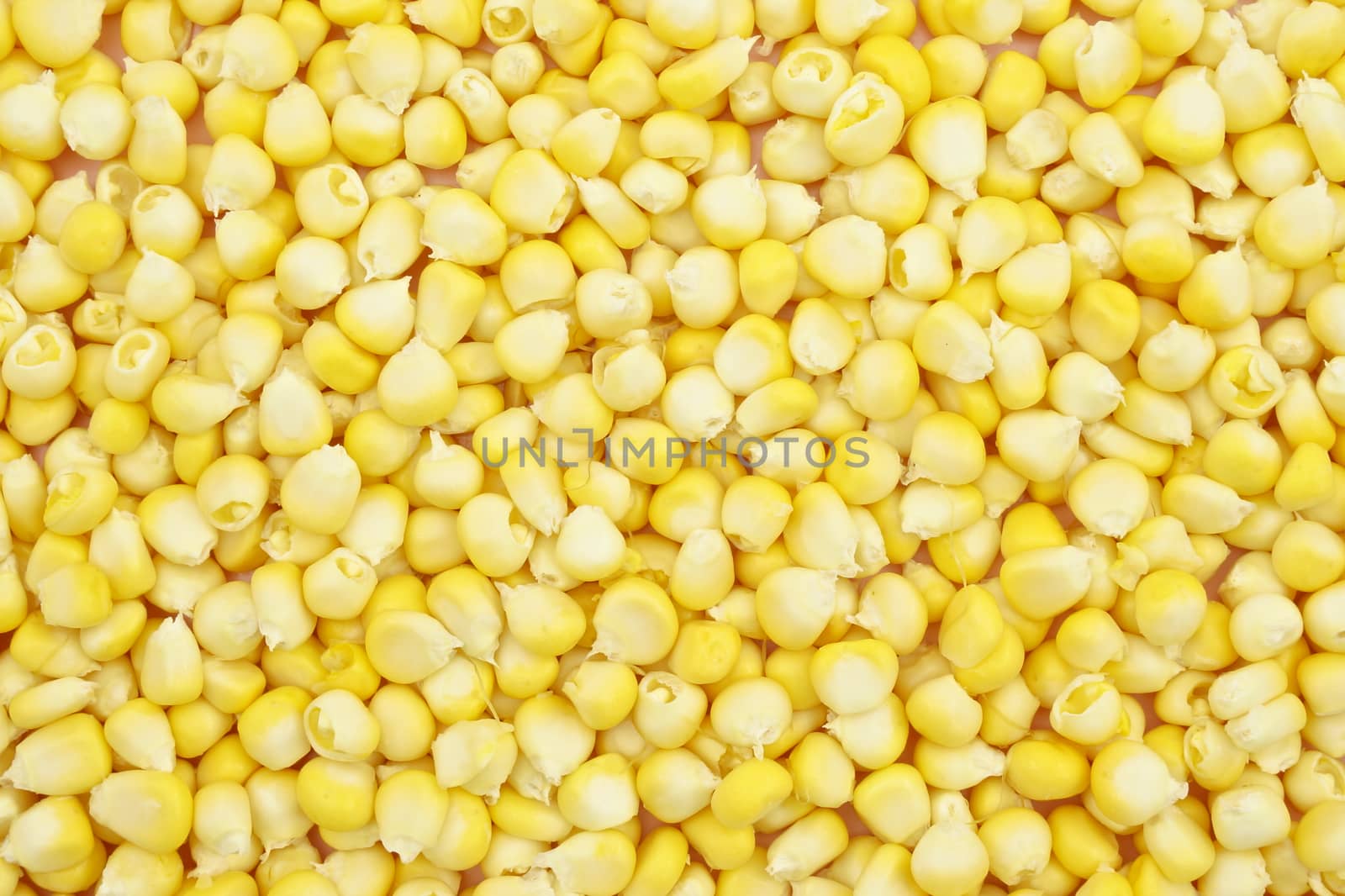 Yellow corn is sweet fruit placed as texture on pink tray.