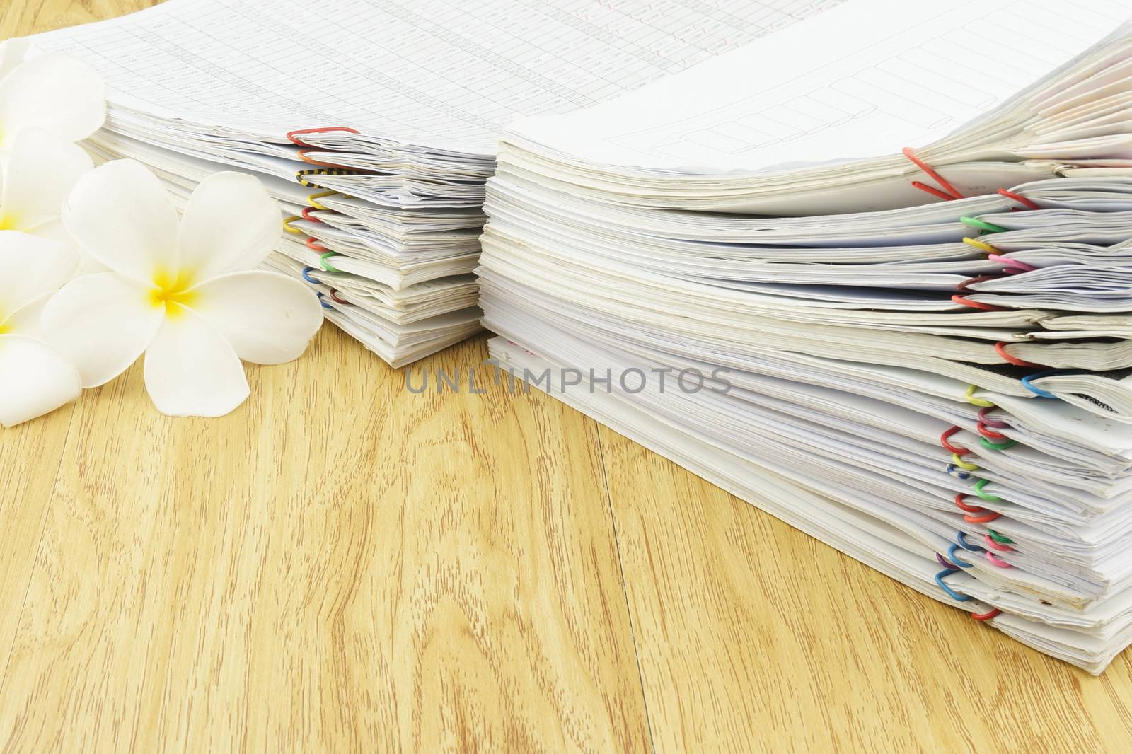 Document of account include sales and receipt place with plumeria on wood background.