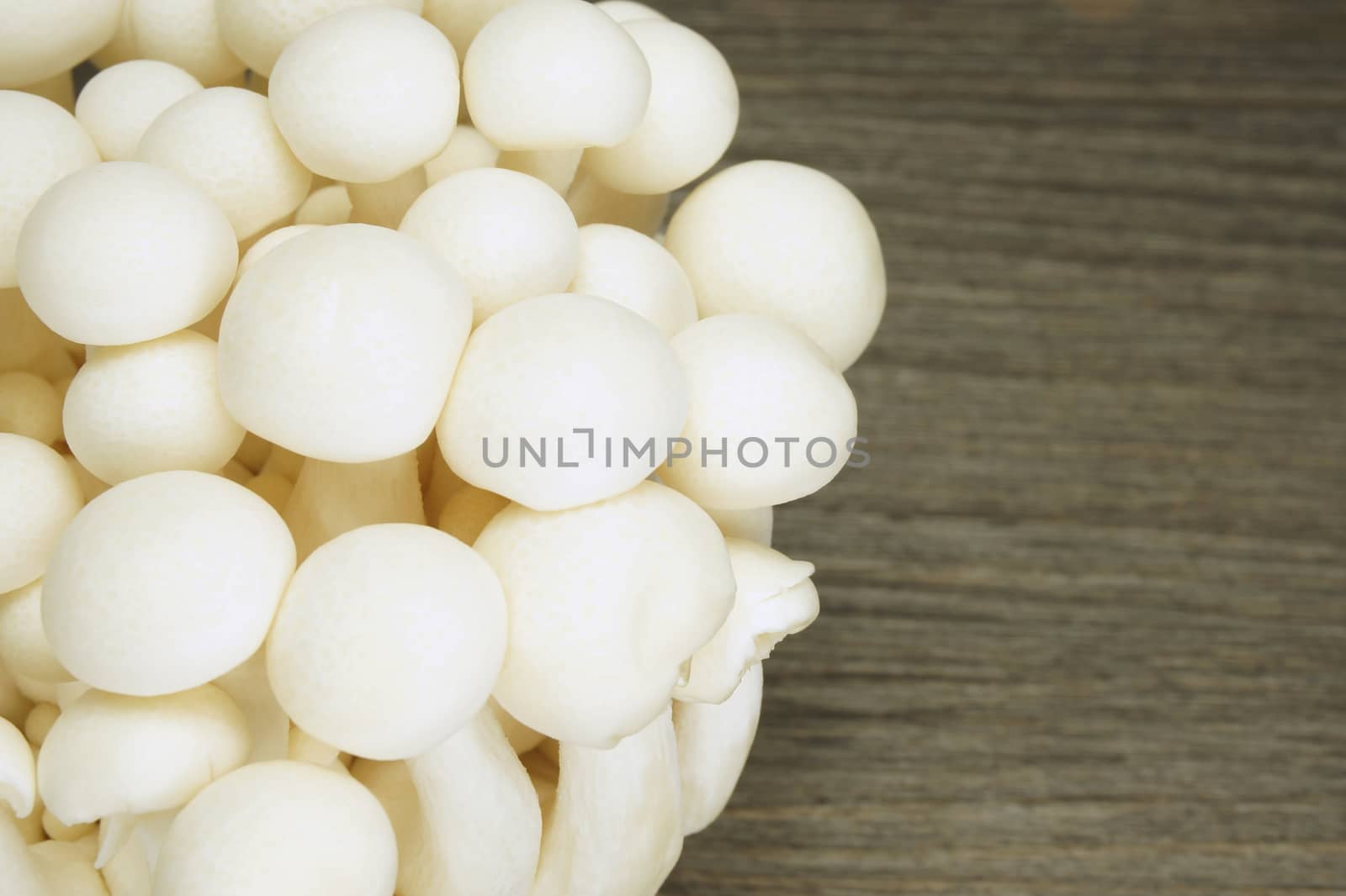 Close up white fresh shimeji mushroom is vegetarian food on wood background.