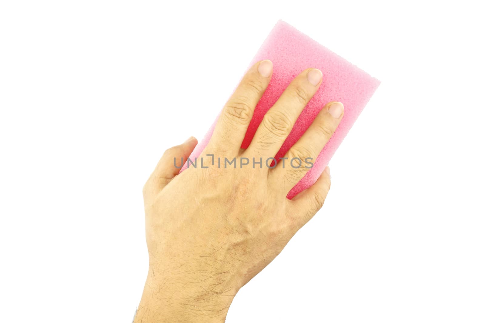 Hand hold pink sponge is cleaning isolated with white background.