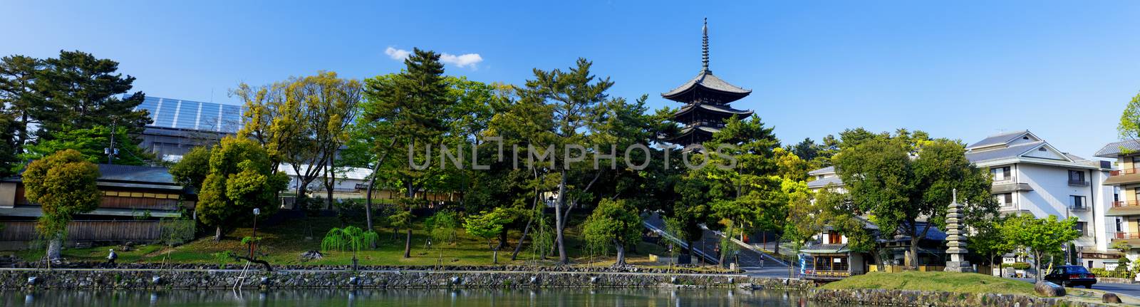 Nara, Japan at Sarusawa Pond.  by cozyta