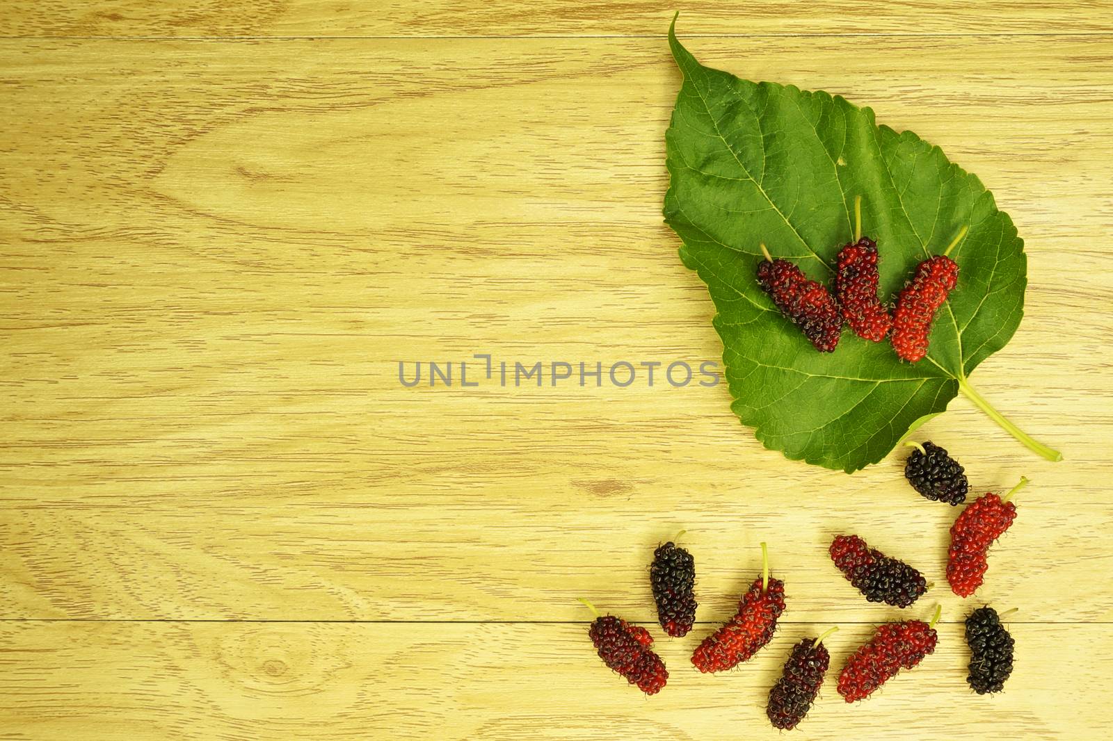 Red and black mulberry on  leaf place on right with wood background.