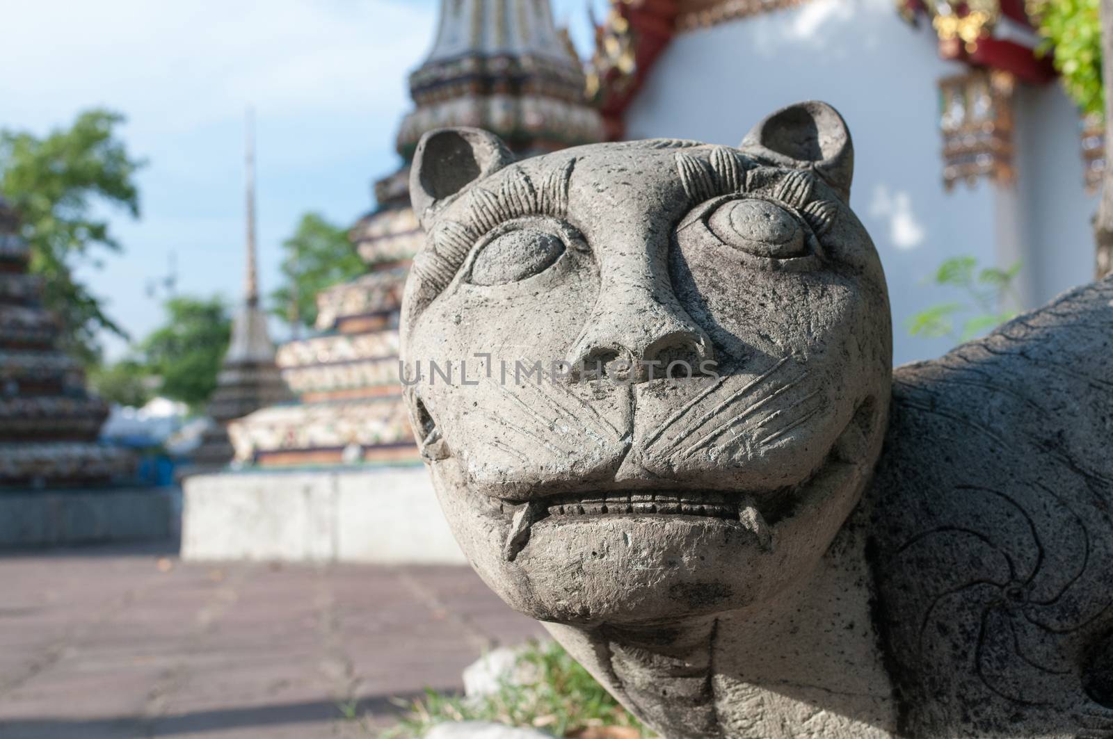 portrait of a stone Chinese tiger in Wat pho, bangkok, thailand 