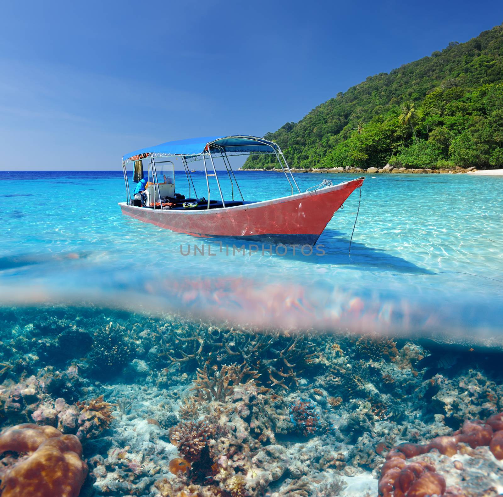 Beautiful beach and motor boat with coral reef bottom underwater and above water split view