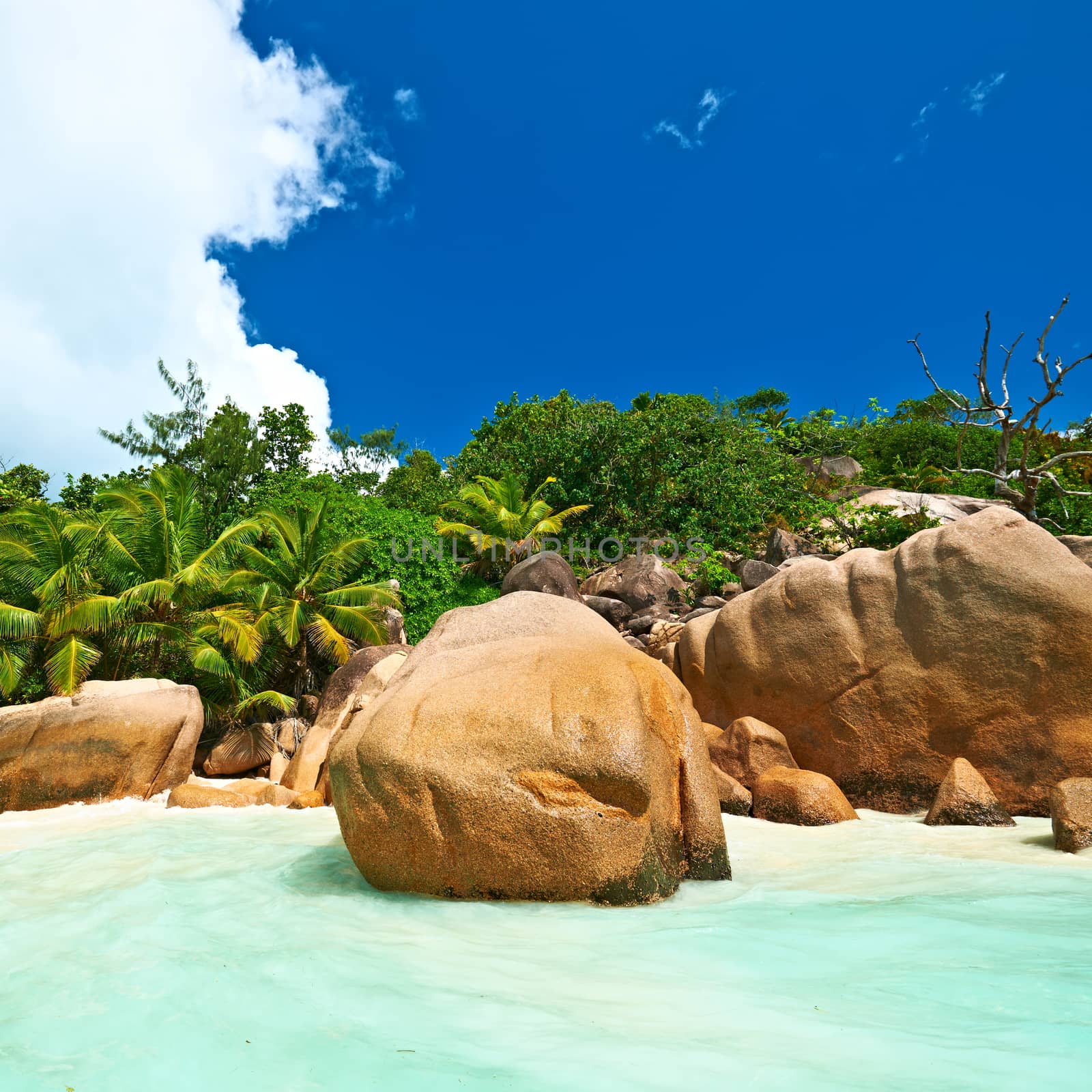 Beautiful beach at Seychelles by haveseen