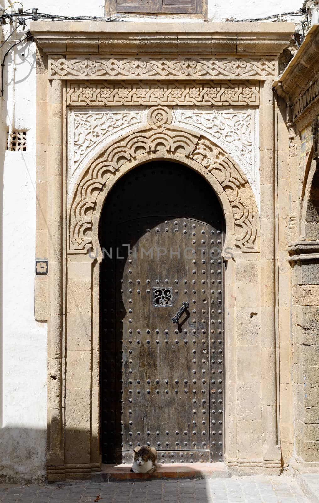 Beautiful detailed doorway in Morocco with cat.