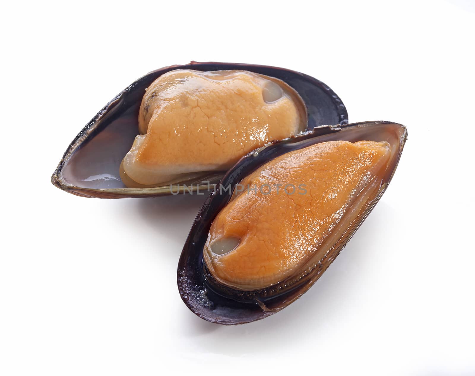 Two isolated mussles on the half shell