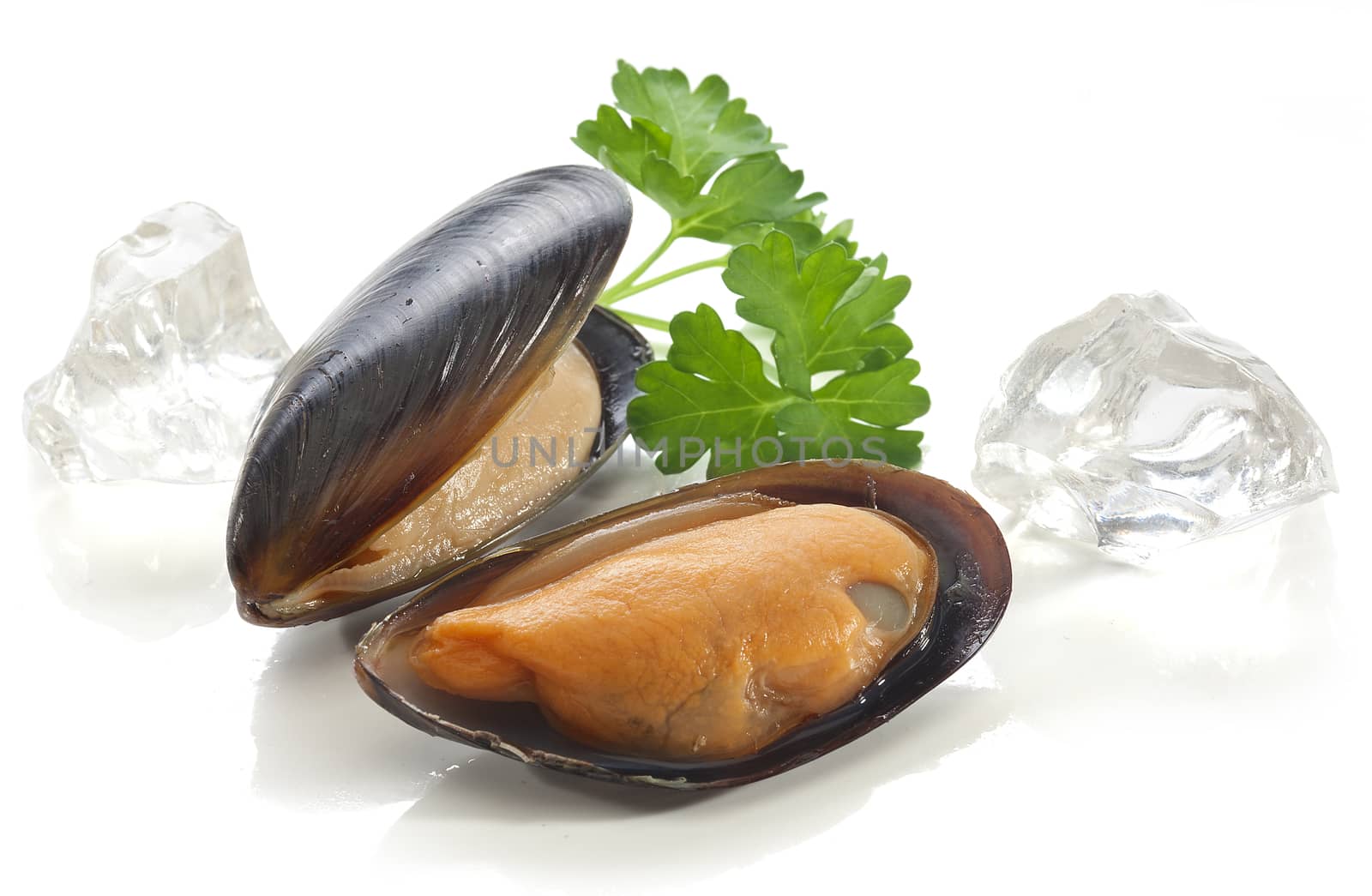 Two mussels in the shell with parsley and ice