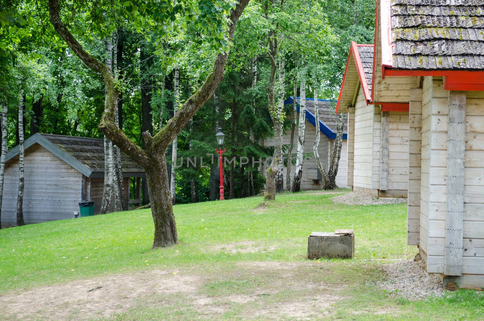 wooden holiday home sides row in the green summer park