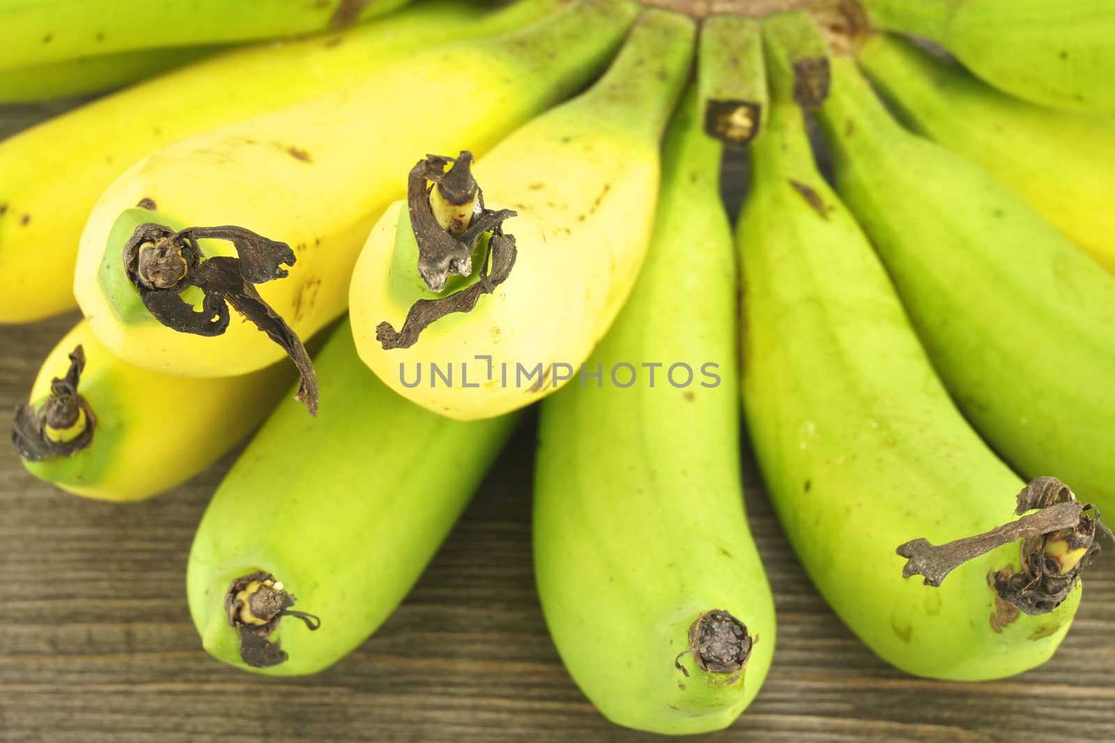 Close up yellow between green cultivated banana with wood background.