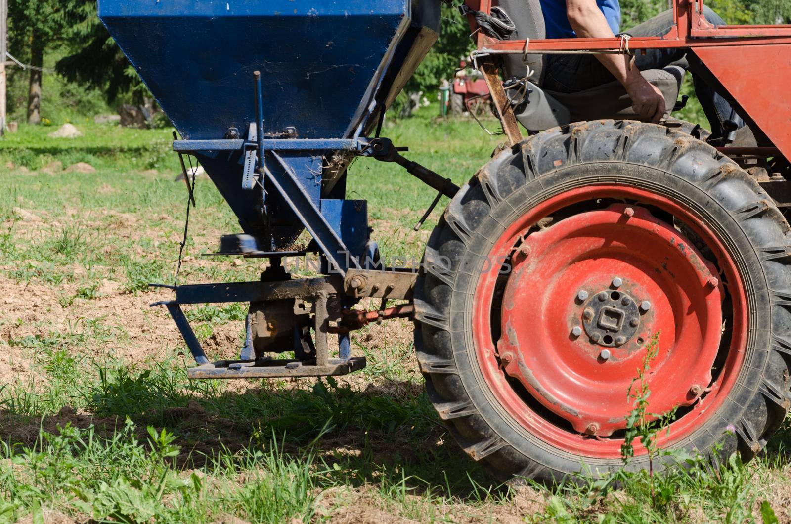 Follow retro tractor wheels and seeder equipment sow buckwheat seeds in agriculture field.