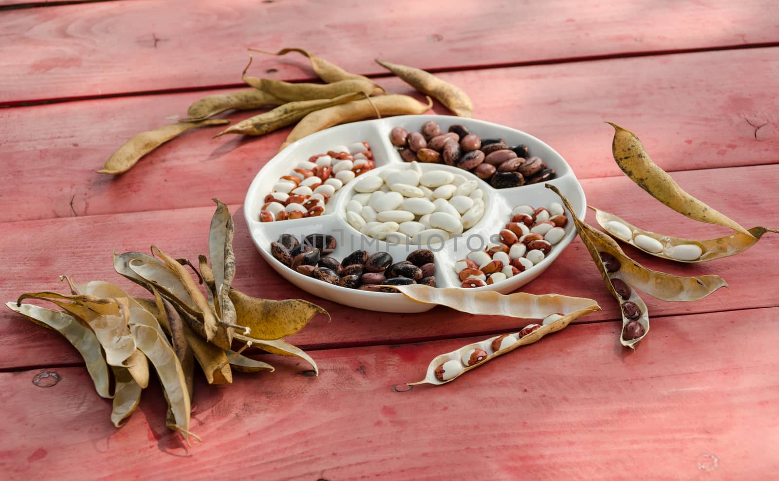 colored organic shelled beans and dried open pods on wooden table outdoor