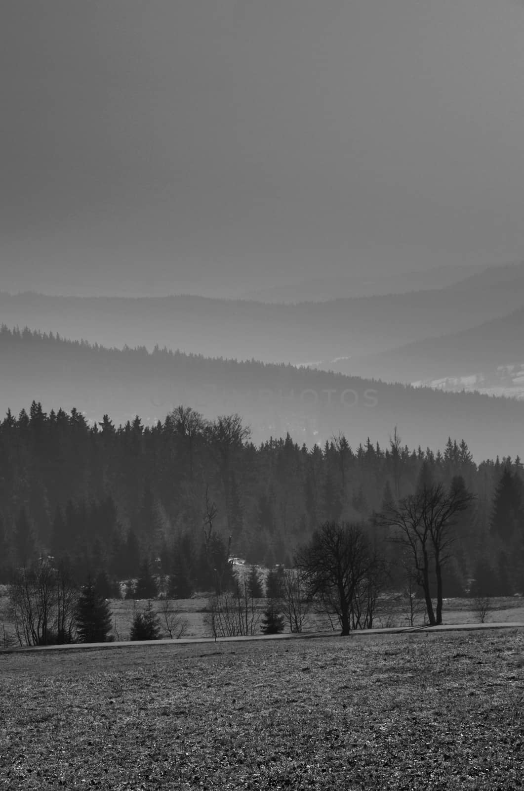 Black and white landscape of hills, mountains and valley in the fog