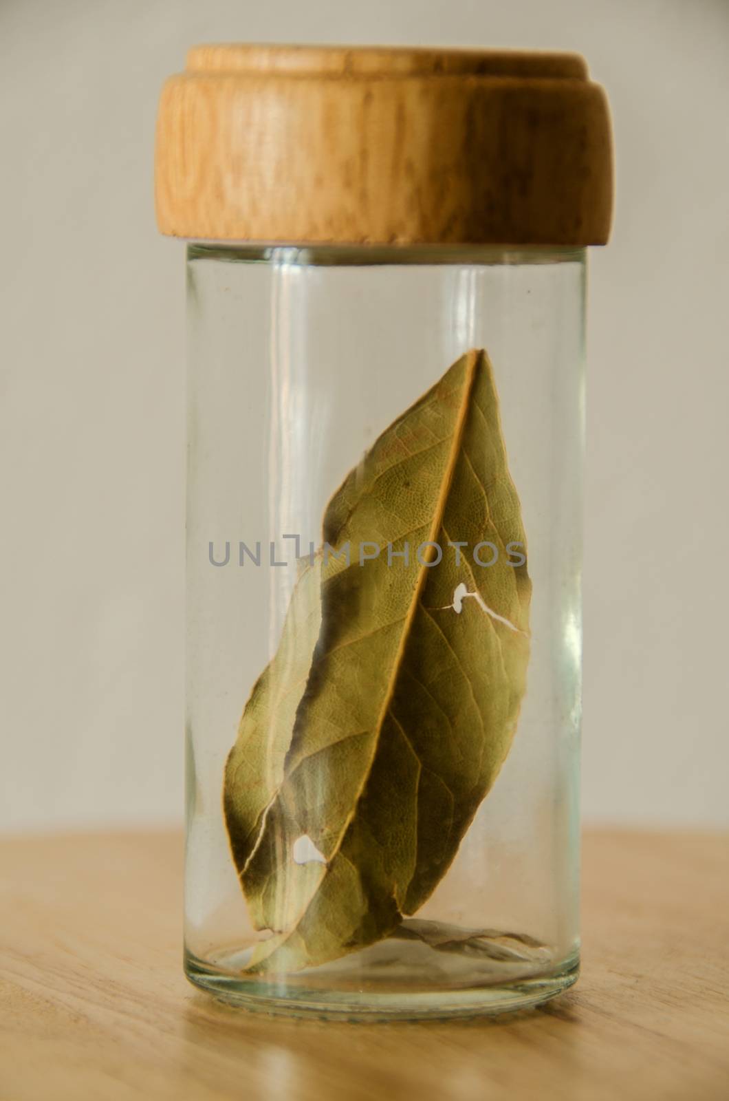 Spice leaf in the glass jar on wooden table isolated on white background.