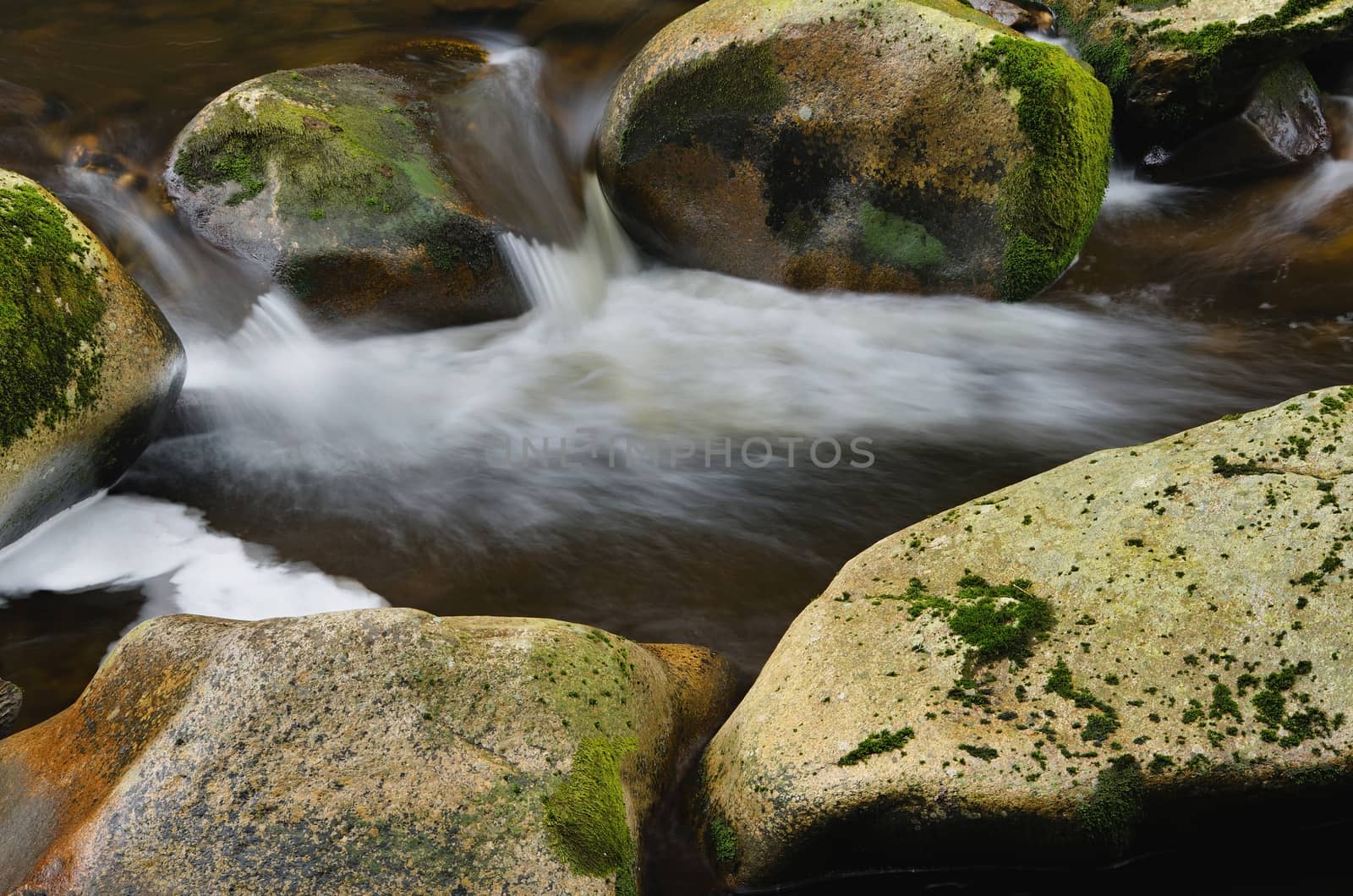 Detail of small beautiful cascade between mossy stones. 