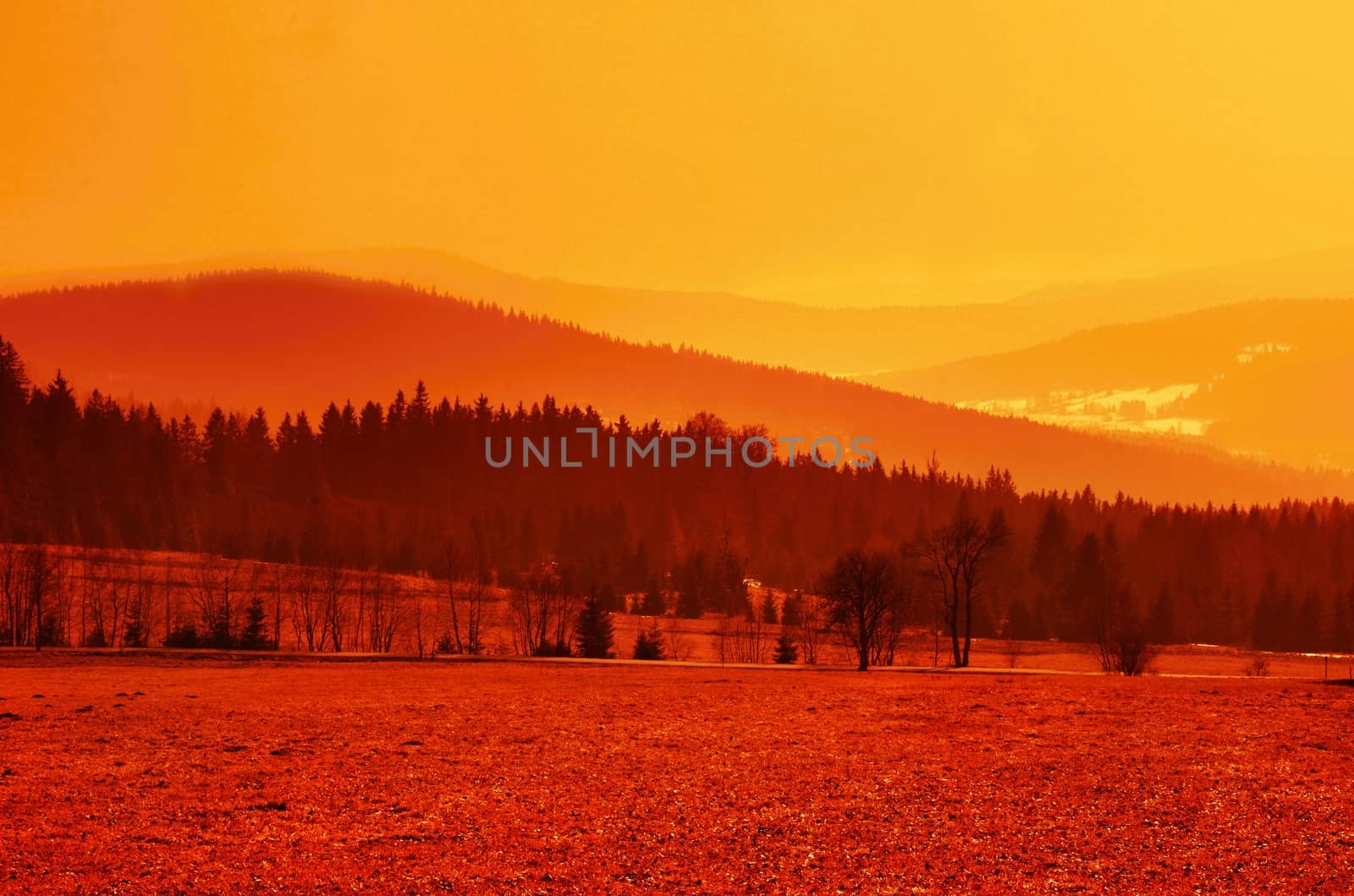 Awesome orange landscape of valley with forest and mountains in back.
