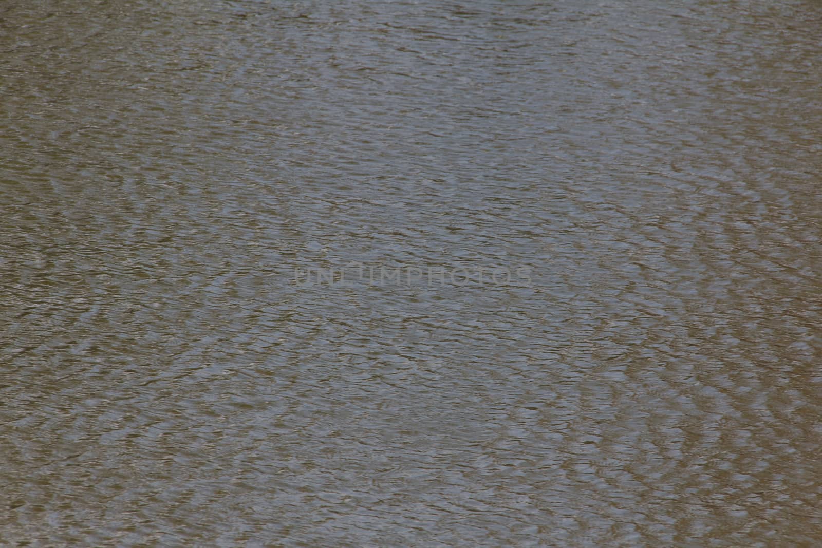 brown Tones Water Waves Surface as Background