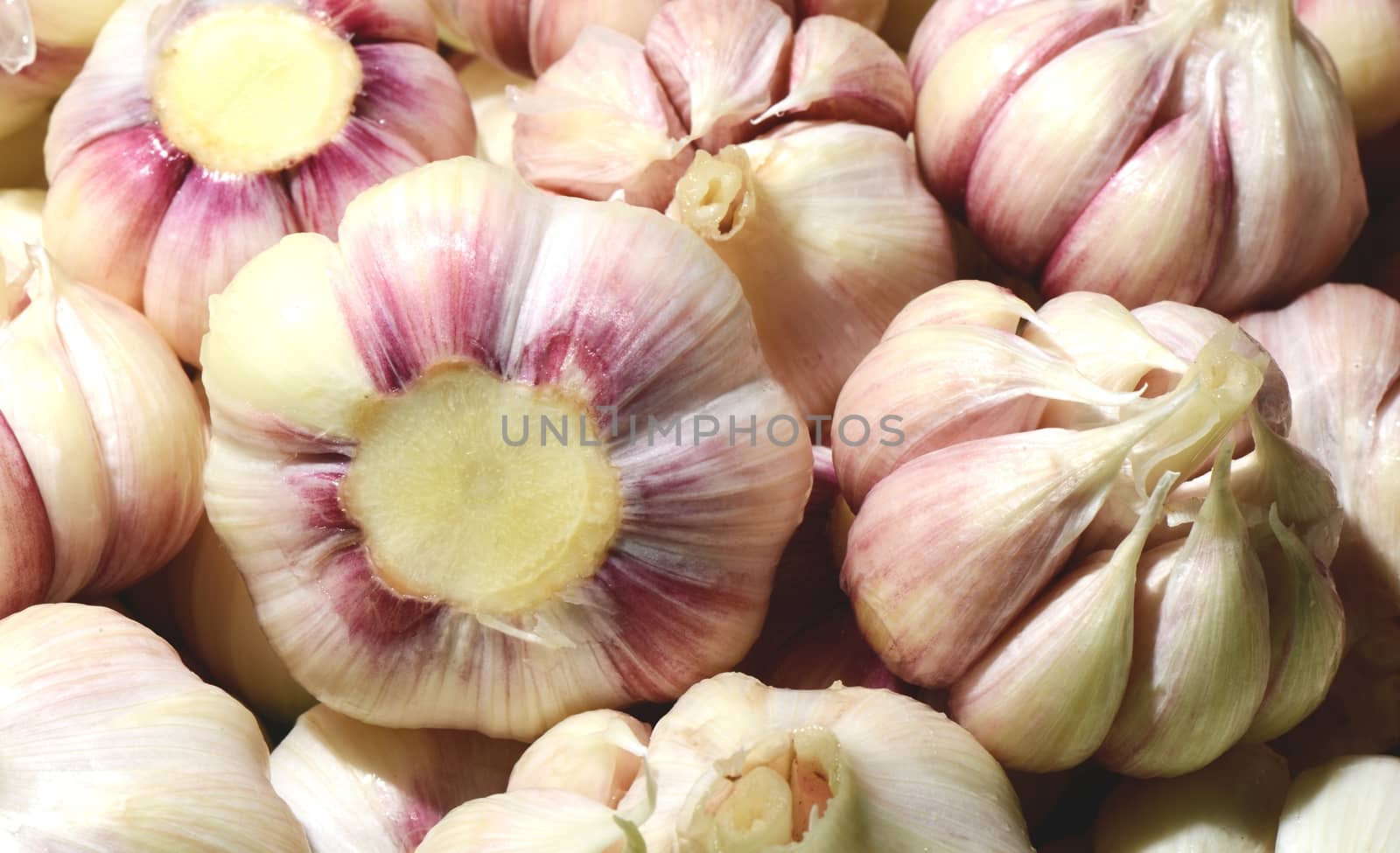 Pile of white purple garlic as a background